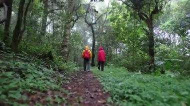 Yeşil ve kahverengi bir geçmişi olan bir ormanda yürüyen iki kişi.