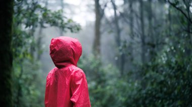 A rear view of a woman wearing a red raincoat, standing in a lush, misty rainforest. She is surrounded by dense greenery, embracing the tranquility and solitude of the natural environment. clipart