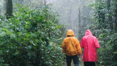 Yağmurluk giyen bir baba ve kızı sisli, yemyeşil bir ormanı keşfederek yağmurlu bir günde birlikte doğanın tadını çıkarıyorlar..