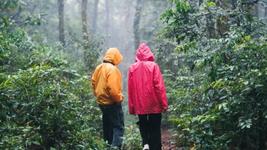 Yağmurluk giyen bir baba ve kızı sisli, yemyeşil bir ormanı keşfederek yağmurlu bir günde birlikte doğanın tadını çıkarıyorlar..