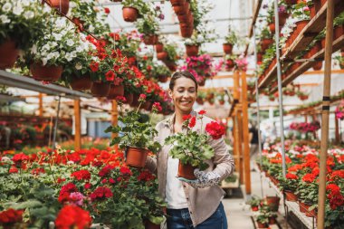 Attractive young woman working in greenhouse, holding and arranging flower pots and enjoying in beautiful and colorful flowers.