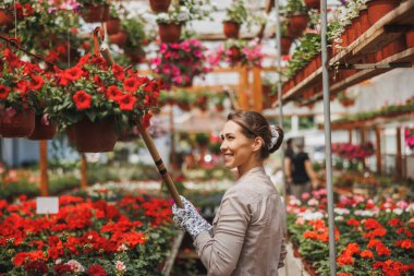 Attractive young woman working in greenhouse, holding and arranging flower pots and enjoying in beautiful and colorful flowers.