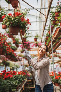 Attractive young woman working in greenhouse, holding and arranging flower pots and enjoying in beautiful and colorful flowers.