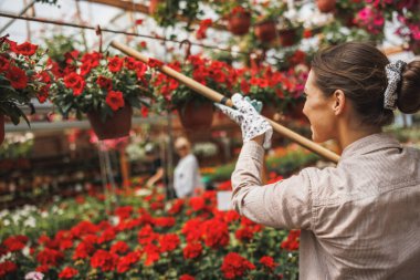 Attractive young woman working in greenhouse, holding and arranging flower pots and enjoying in beautiful and colorful flowers.