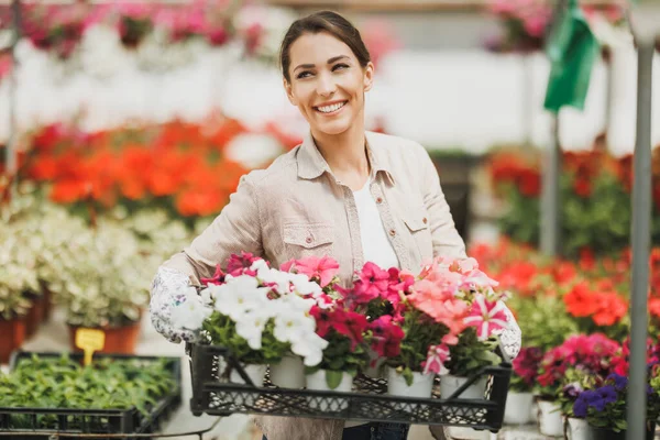 Smiling Young Woman She Holding Crate Beautiful Flowers Garden Center — стоковое фото