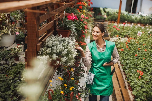 Uśmiechnięta Kobieta Kwiaciarnia Tabletem Cyfrowym Pracująca Szklarni Dbająca Rośliny Doniczkowe — Zdjęcie stockowe