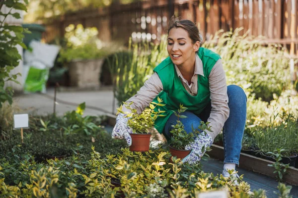 在花园中心工作 手持和摆放花盆的年轻技术女企业家 — 图库照片