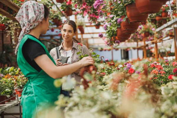 Young female plant nursery volunteer helps a young woman with flowers choosing and purchase.
