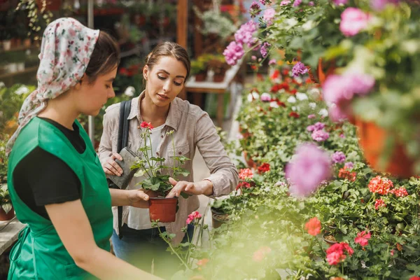Ung Kvinnlig Plantskola Volontär Hjälper Ung Kvinna Med Blommor Välja — Stockfoto