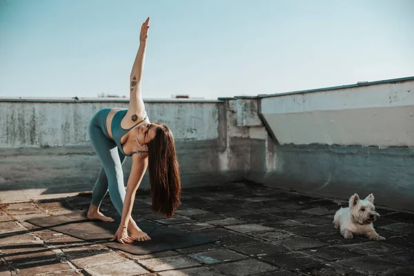 Relaxed Young Woman Practicing Yoga Rooftop Terrace Supporting Her Pet —  Fotos de Stock