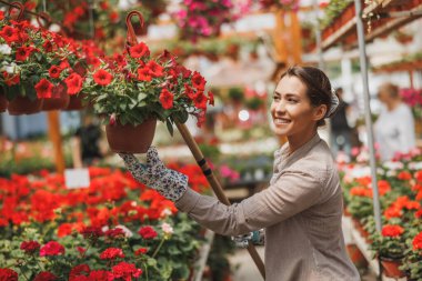 Attractive young woman working in greenhouse, holding and arranging flower pots and enjoying in beautiful and colorful flowers.