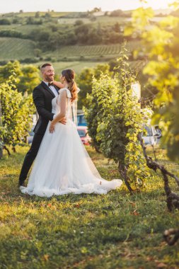 Mutlu genç bir çiftin gün batımında bağda düğün günlerinin tadını çıkarırken çekilen fotoğrafı..