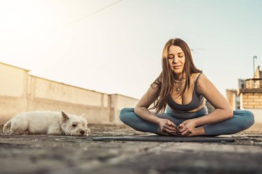 Relaxed woman practicing yoga on a rooftop terrace at sunset supporting by her pet dog.
