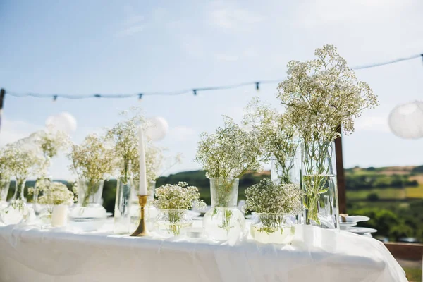 Mesa Boda Estilo Boho Patio Trasero Cerca Del Viñedo — Foto de Stock