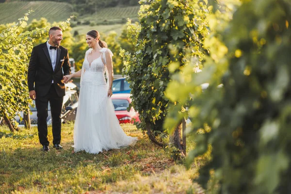 Shot Happy Young Couple Walking Vineyard Wedding Day — Stock fotografie