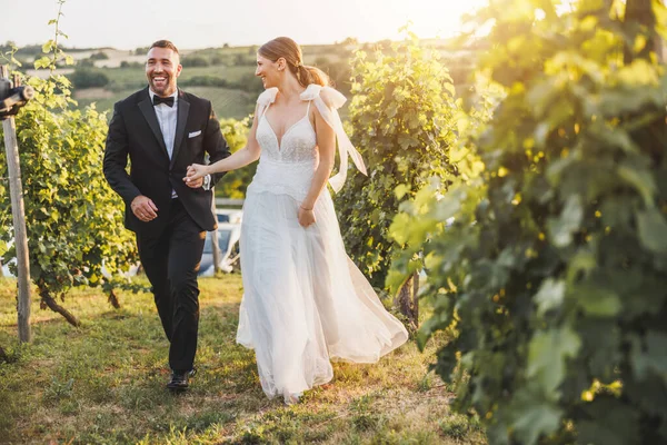 Красивая Невеста Жених Идут Рука Руку Винограднике Закате — стоковое фото