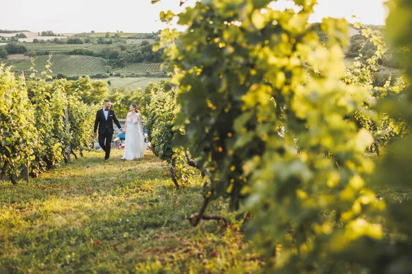 Снимок Счастливой Молодой Пары Прогуливающейся Винограднику День Свадьбы — стоковое фото