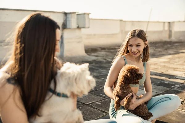 Duas Jovens Mulheres Brincando Com Seus Cães Animais Estimação Enquanto — Fotografia de Stock