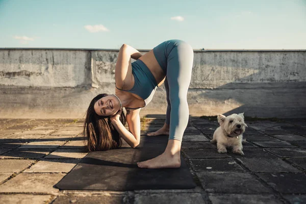 ヨガストレッチ運動屋外で練習しながら リラックスした女性は 彼女のペットの犬によってサポート — ストック写真