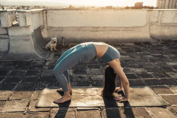 Relaxed Woman Practicing Yoga Stretching Exercise Rooftop Terrace Sunset — Fotografia de Stock