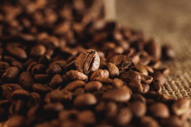 Çuval bezi torbasına serpiştirilmiş taze kahve çekirdeklerinin yakın çekimi..