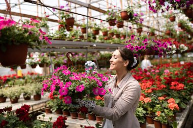 Smiling young woman working in a greenhouse, holding flower pots and enjoying in beautiful and colorful flowers.