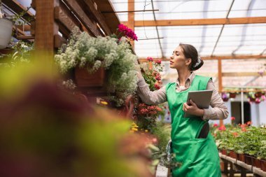 Young entrepreneur woman using digital tablet while checking flowers in a greenhouse.  