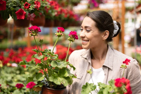 Lächelnde Junge Frau Arbeitet Gewächshaus Hält Und Arrangiert Blumentöpfe Und — Stockfoto