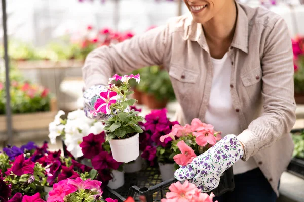 Una Donna Sorridente Irriconoscibile Che Lavora Centro Giardinaggio Vivaio Piante — Foto Stock