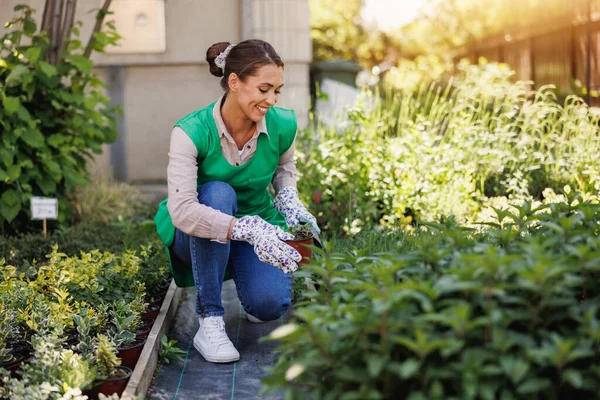 Smiling Young Woman Working Flowers Greenhouse Woman Entrepreneur — Φωτογραφία Αρχείου