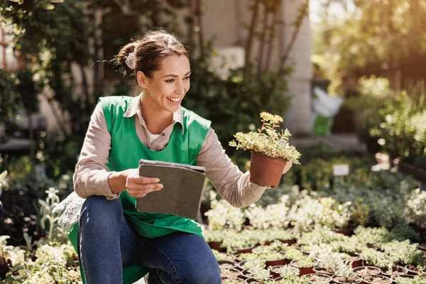 Mladá Usměvavá Žena Držící Digitální Tablet Kontrolující Rostliny Květináčích Skleníku — Stock fotografie