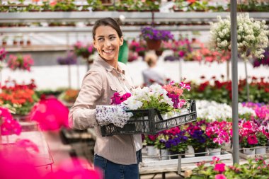 Smiling young woman she holding crate with beautiful flowers in a garden center or plant nursery.