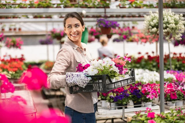 Smiling Young Woman She Holding Crate Beautiful Flowers Garden Center — 스톡 사진