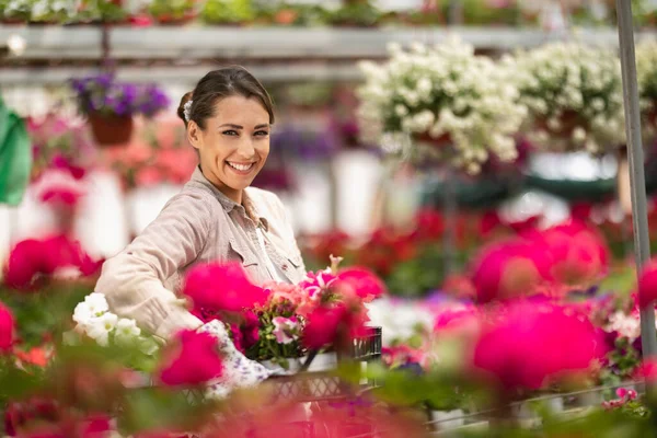 Portrait Beautiful Woman Florist Greenhouse She Holding Crate Beautiful Flowers — 스톡 사진