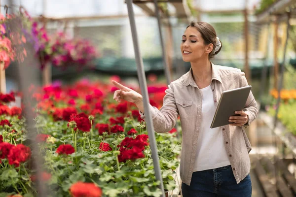 Young Florist Woman Using Digital Tablet While Checking Flowers Greenhouse — 스톡 사진