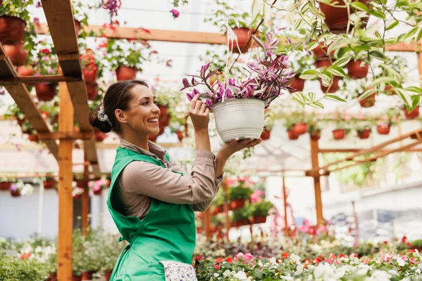 Young smiling florists woman checking flowers in a garden center or greenhouse. Woman entrepreneur.