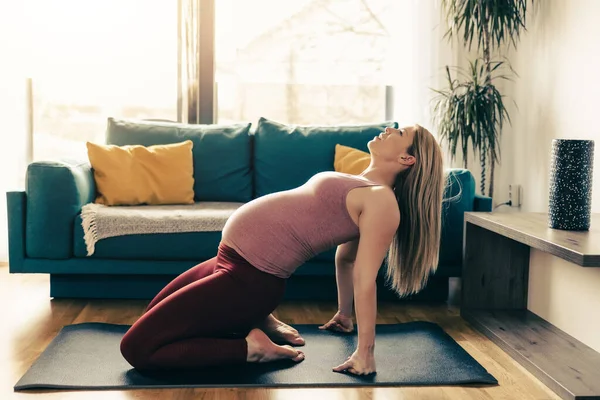スポーツ服の妊婦は リビングルームで健康を促進するためにストレッチし 運動しています 彼女はモビリティ運動をしている — ストック写真