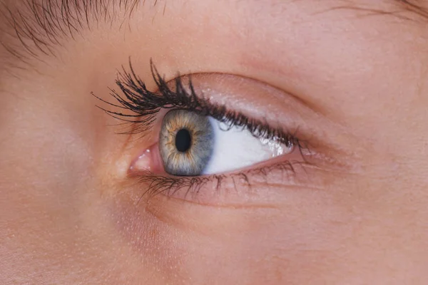 被一个长睫毛的无法辨认的女性蓝眼睛射中 — 图库照片