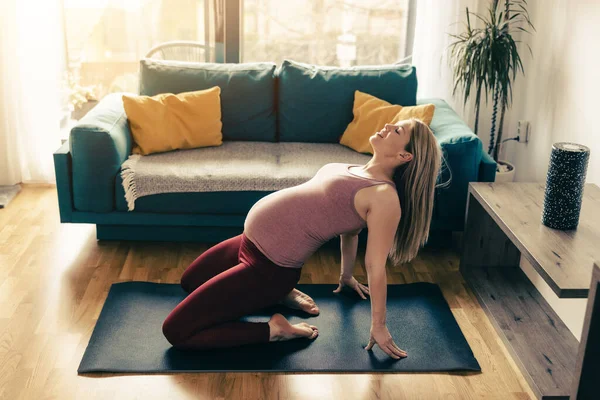 Young pregnant woman stretching at home in the morning. She workout on exercise mat and doing mobility exercise in her living room.