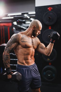 Spor salonunda dambılla ağır antrenman yapan kaslı bir vücut geliştiriciyi vurmuşlar. Pazularını ağırlıkla şişiriyor..