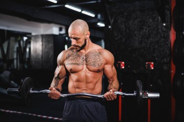 Kas geliştiren bir vücut geliştiricinin spor salonunda kol kasları için halterle sıkı antrenman yaparken görüntüsü..
