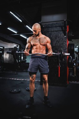 Kas geliştiren bir vücut geliştiricinin spor salonunda kol kasları için halterle sıkı antrenman yaparken görüntüsü..