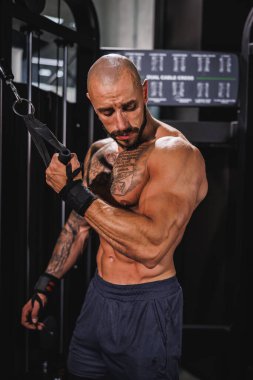 Spor salonunda kol kasları için sıkı antrenman yapan genç bir fitness oyuncusunun fotoğrafı..