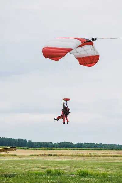 Tandem parachutist landing on a field after good flight.