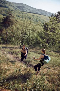 Doğayı keşfeden yürüyüş direkleri olan iki kadın yürüyüşçü gün boyunca dağda yürüyüş yapıyorlar..