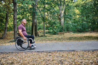 Tekerlekli sandalyedeki bir adam yemyeşil ağaçlarla çevrili huzurlu bir park yolunu keşfediyor.. 