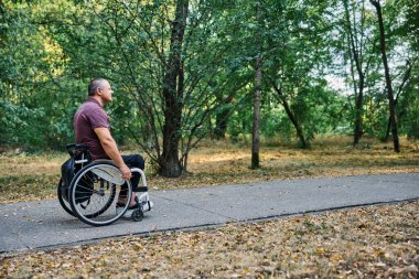 Tekerlekli sandalyedeki bir adam yemyeşil ağaçlarla çevrili huzurlu bir park yolunu keşfediyor.. 