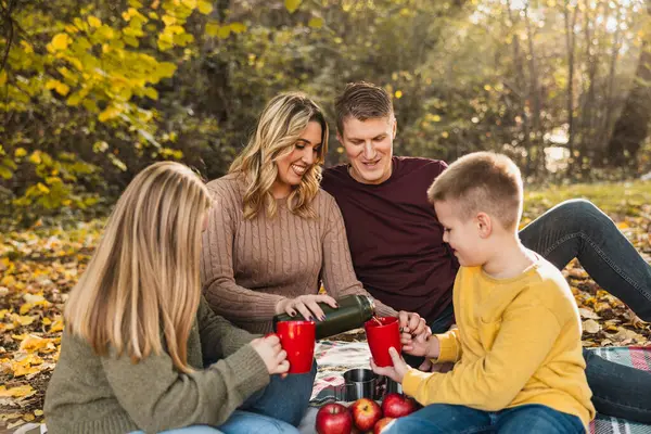Dört kişilik aile, güzel bir sonbahar gününde sıcak çay içerken parkta piknik yapıyorlar.. 