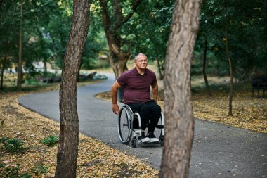 Tekerlekli sandalyedeki bir adam yemyeşil ağaçlarla çevrili huzurlu bir park yolunu keşfediyor.. 