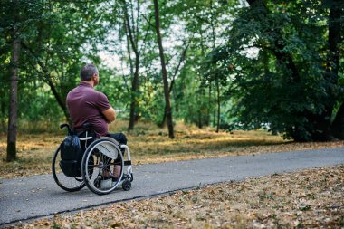 Tekerlekli sandalyedeki bir adam yemyeşil ağaçlarla çevrili huzurlu bir park yolunu keşfediyor.. 